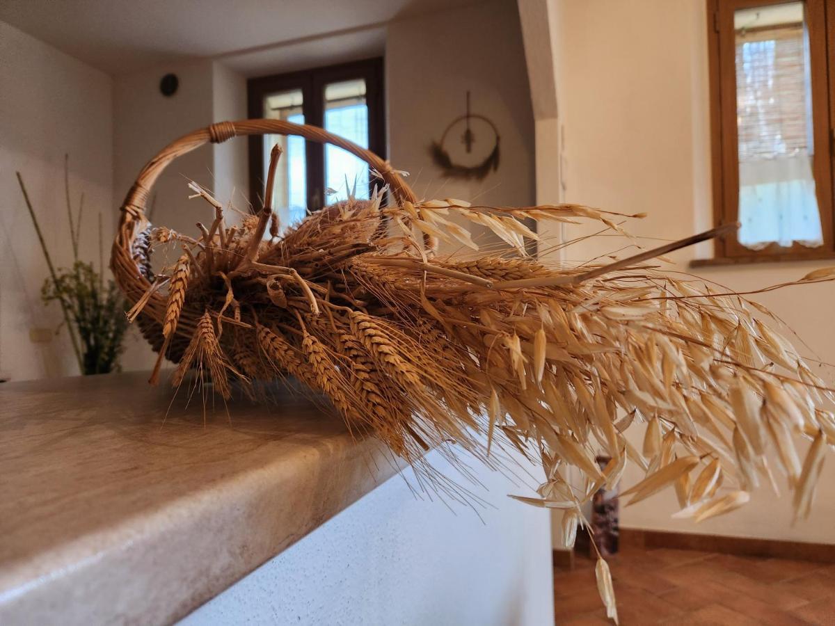 Agriturismo Le Crete - Appartamenti Asciano Exterior photo